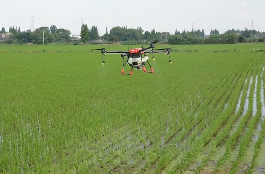 Máy phun thuốc nông nghiệp không người lái WWDZ-10 - ảnh 5