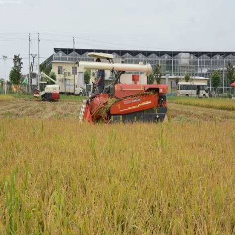 DR150A ảnh 3