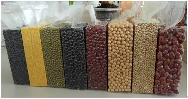Máy đóng gói chân không buồng đôi JL700KH - ảnh 1