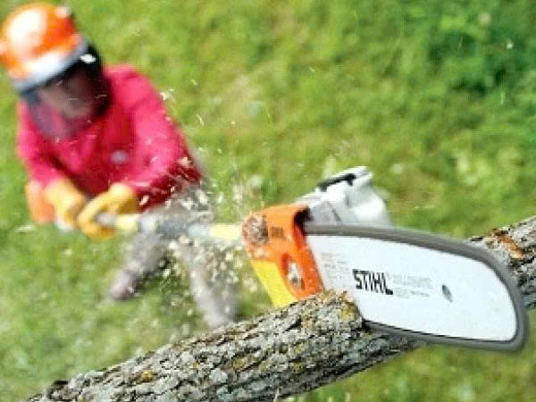 STIHL - HT75 ảnh 3