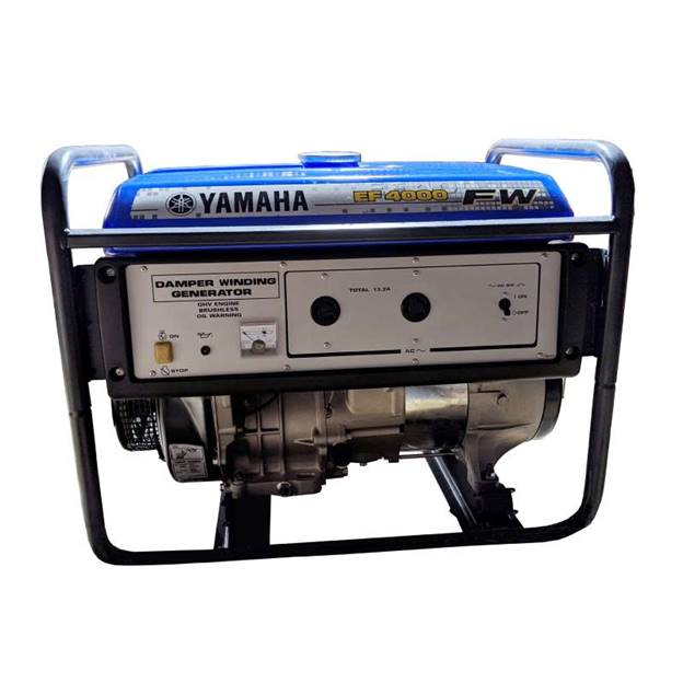 EF4000FW ảnh 2