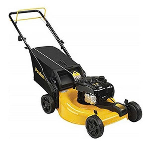 Poulan 6.25HP ảnh 2