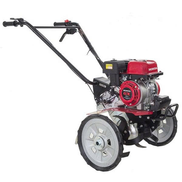 F300 IN ảnh 2