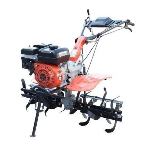 MK190 ảnh 2