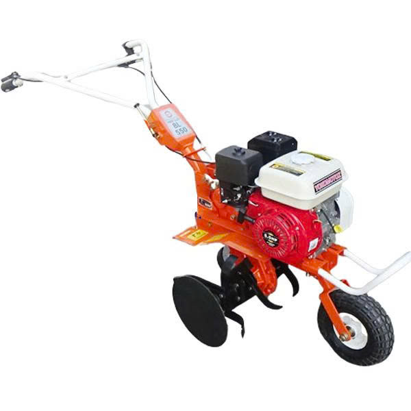 BL 550 ảnh 2