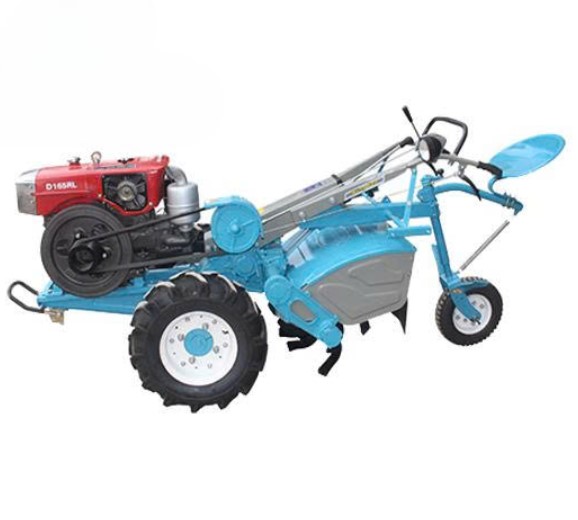 BS165Z ảnh 2