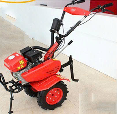  XDX2-D ảnh 2
