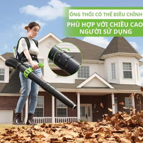 BLF451  ảnh 7