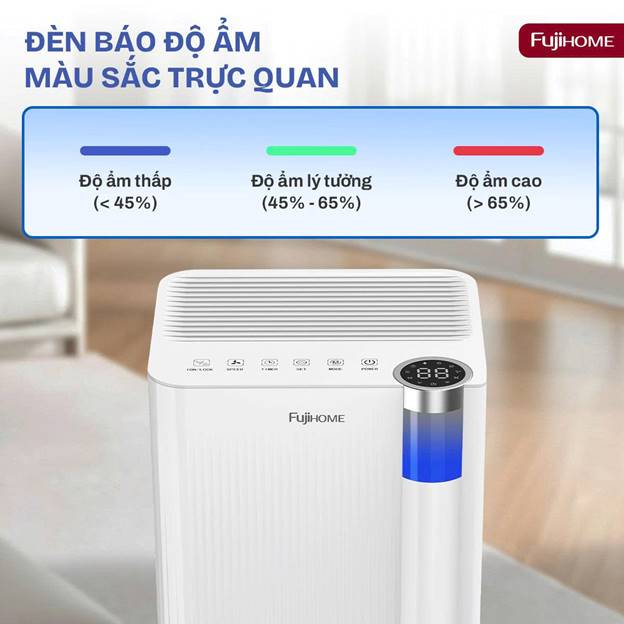 DH10NEW ảnh 5