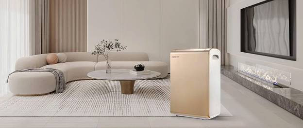 HD221 ảnh 2