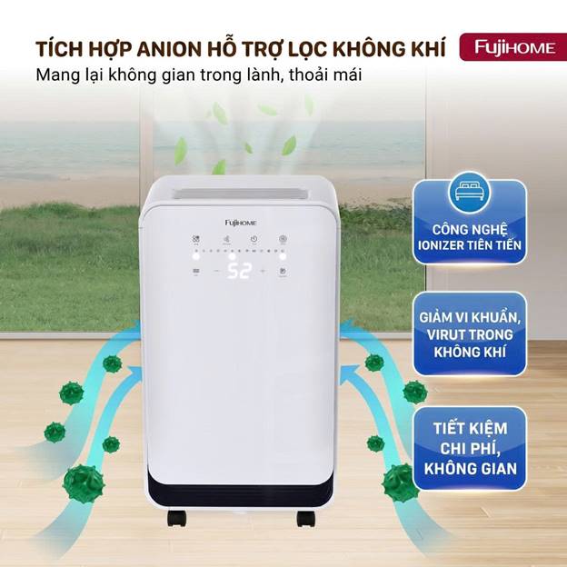DH10 ảnh 3