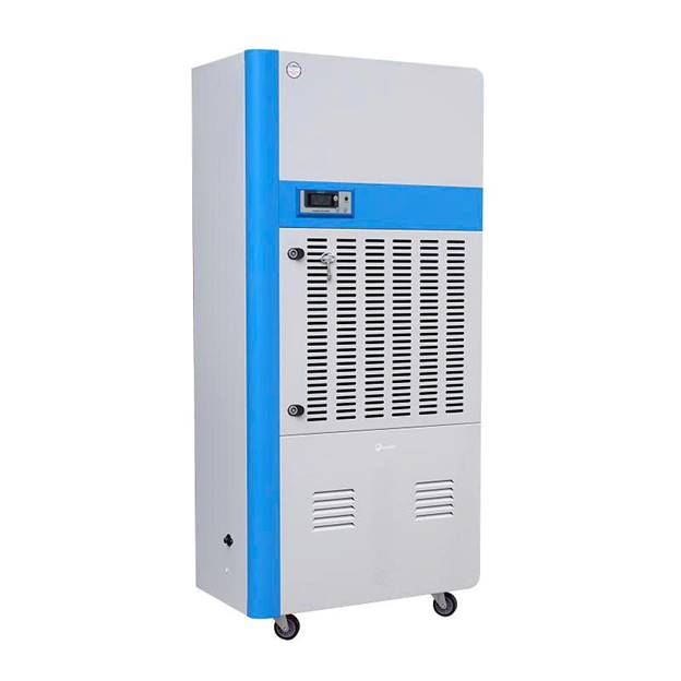DH240BG ảnh 2