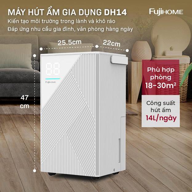 DH14 ảnh 3