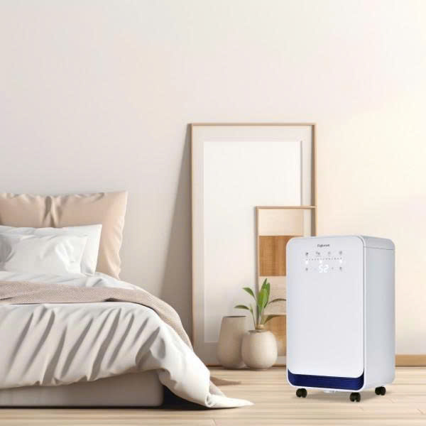 DH10 ảnh 2