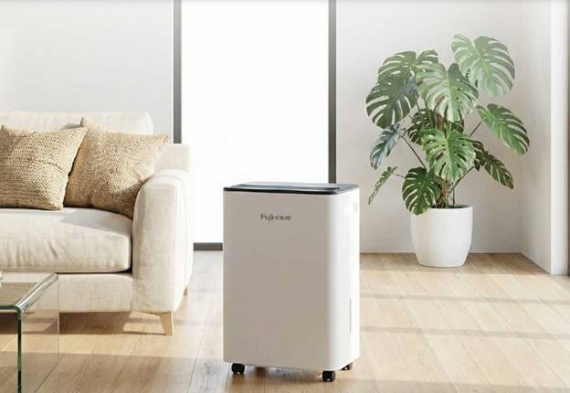 DH12LITE ảnh 2