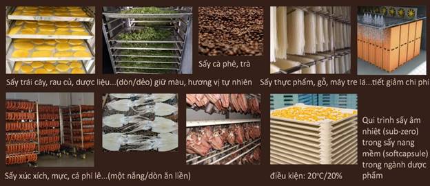 D12-He ảnh 3