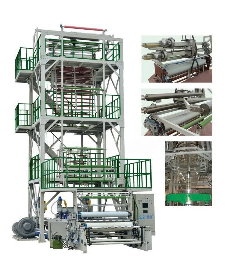 MXSX ảnh 2
