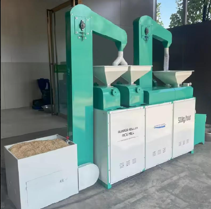  ảnh 2