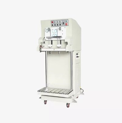 Máy hút chân không công nghiệp có chức năng bơm khí dành cho sản phẩm kích thước lớn DZQ-600L(S)