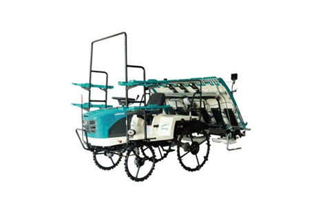 2ZG-6WDK ảnh 1