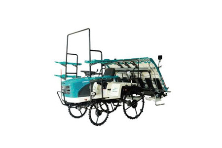 2ZG-6WDS ảnh 1