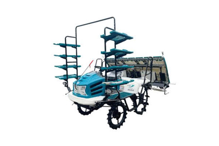 2ZG-8D4K ảnh 1