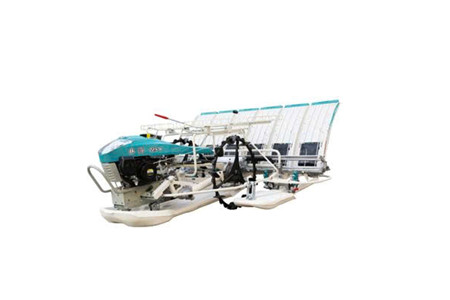 2ZS-6 ảnh 1