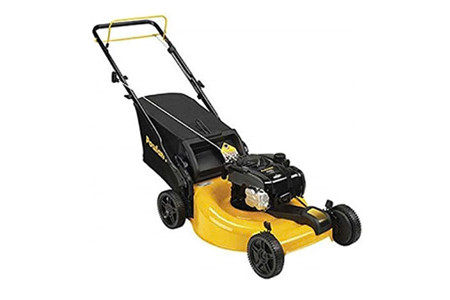 Poulan 6.25HP ảnh 1