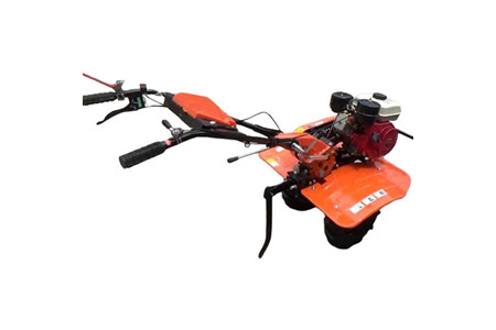 DGX200 ảnh 1