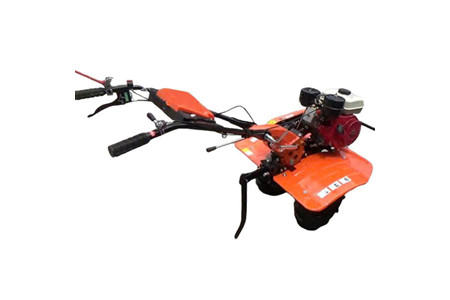 Honda (6,5HP) ảnh 1