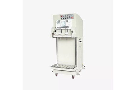 DZQ-600L(S) ảnh 1